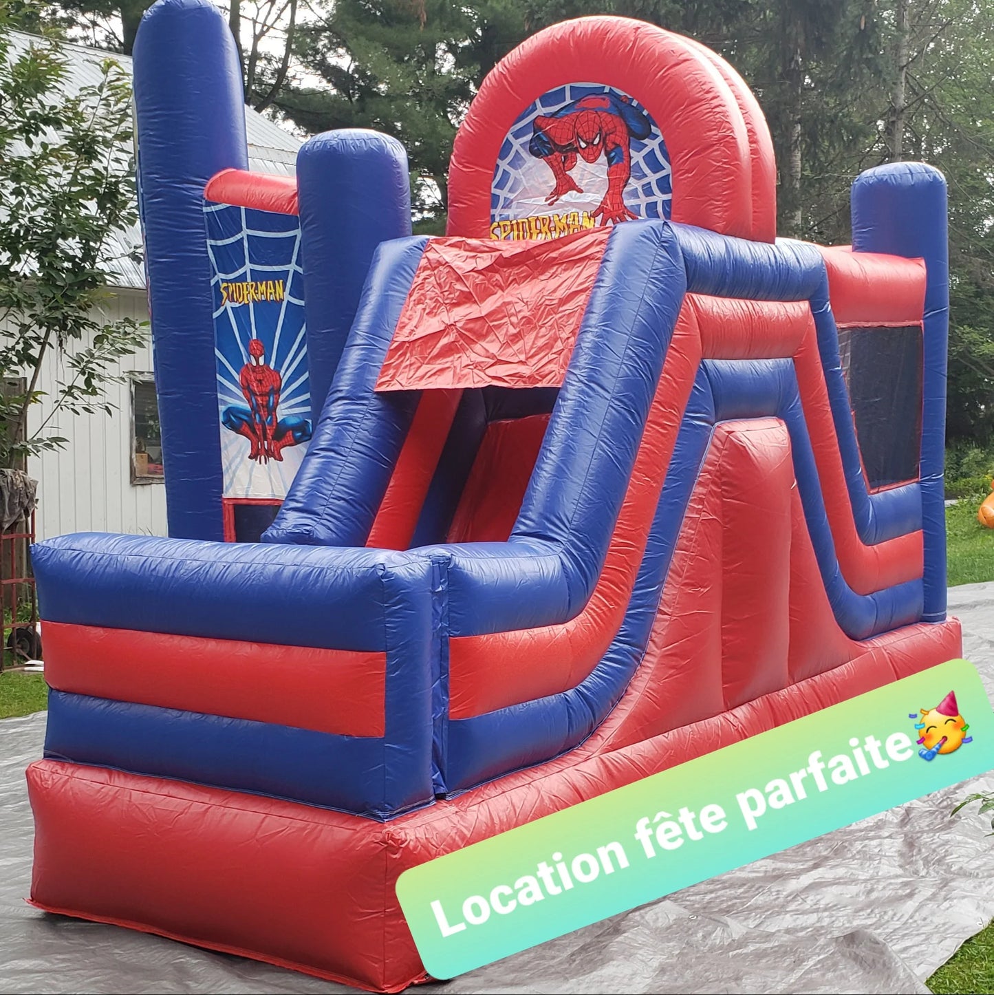 Spider