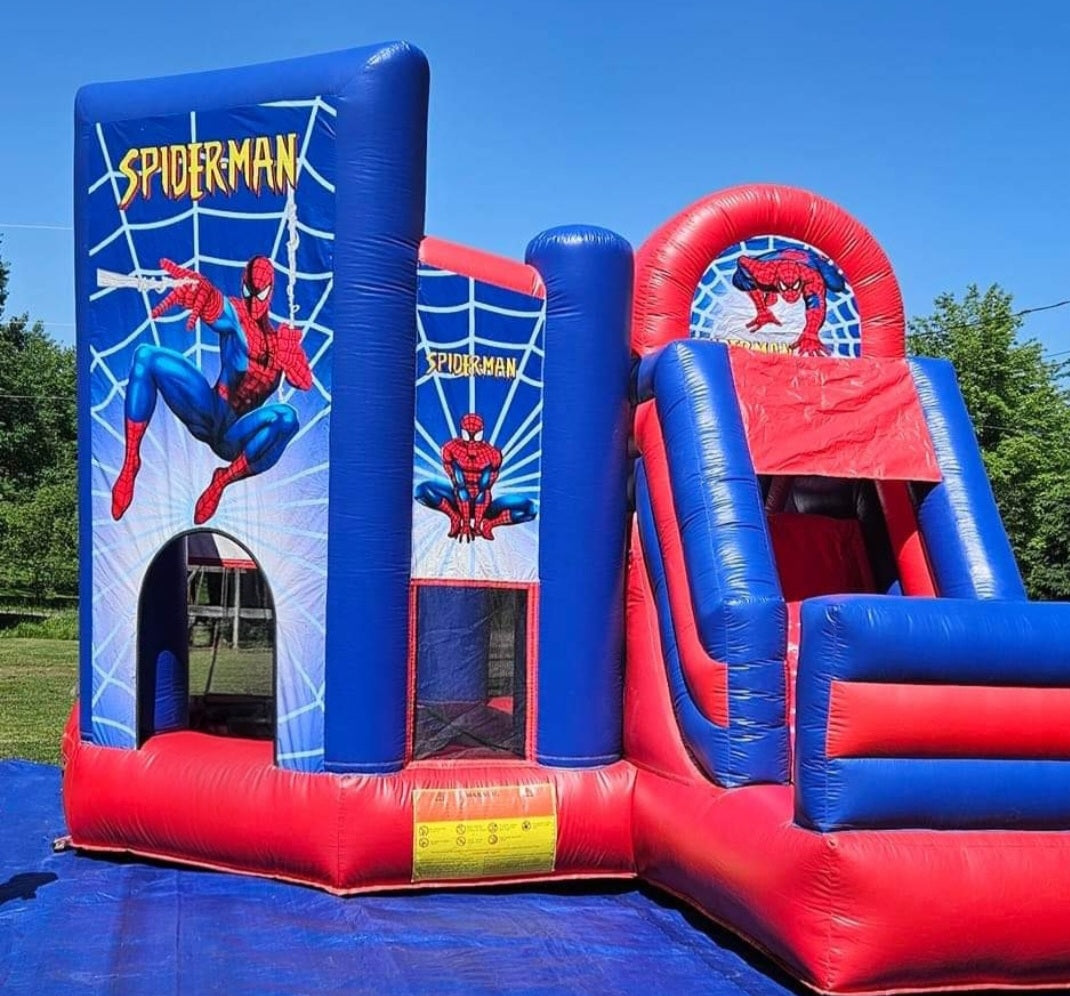 Spider