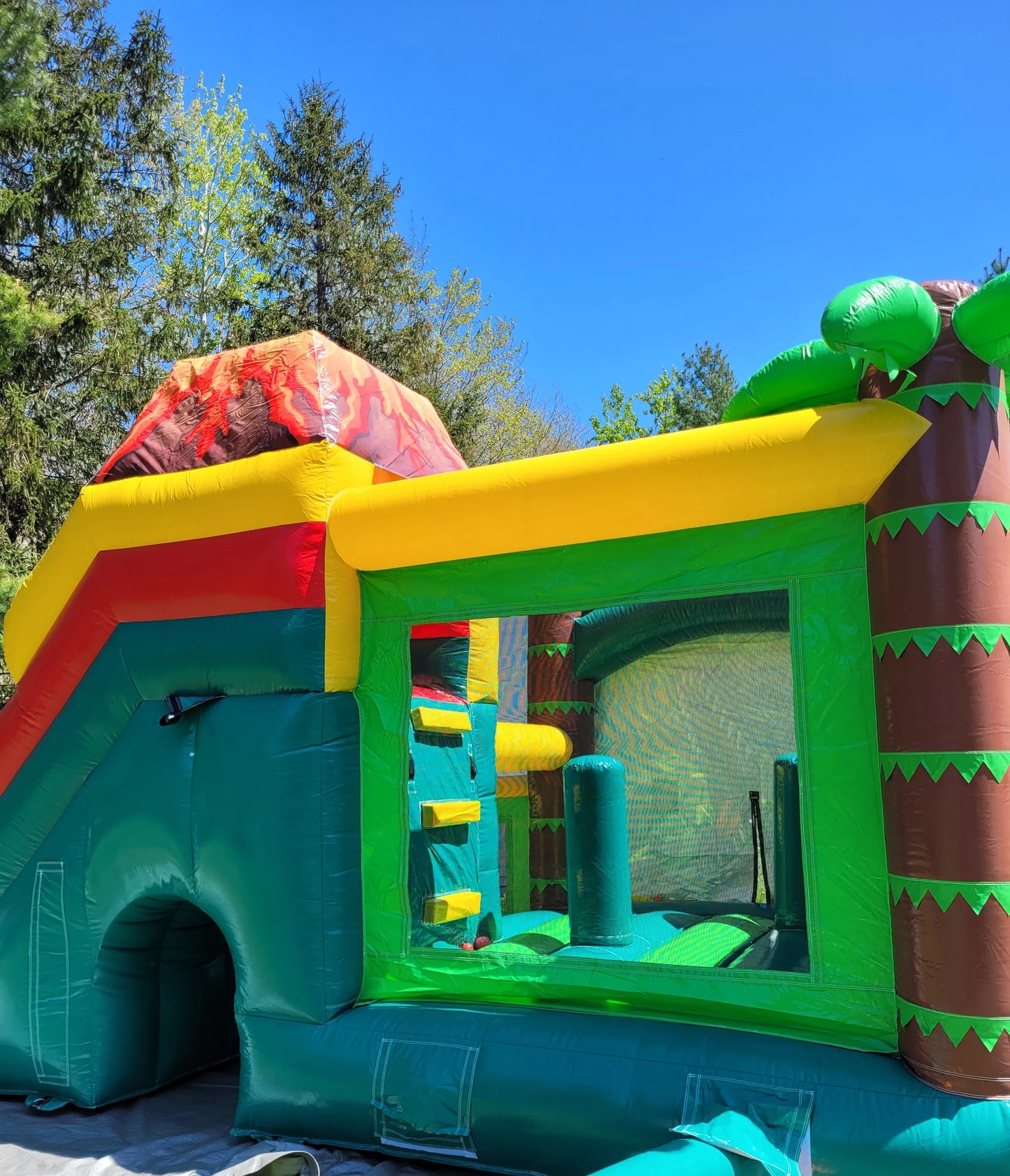 Dino jumbo